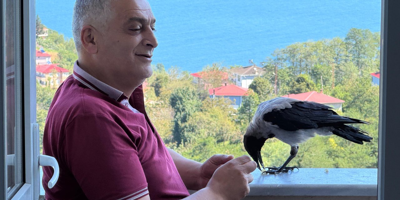 ‘Şakir’ ismini verdiği kargaya çocuğu gibi bakıyor