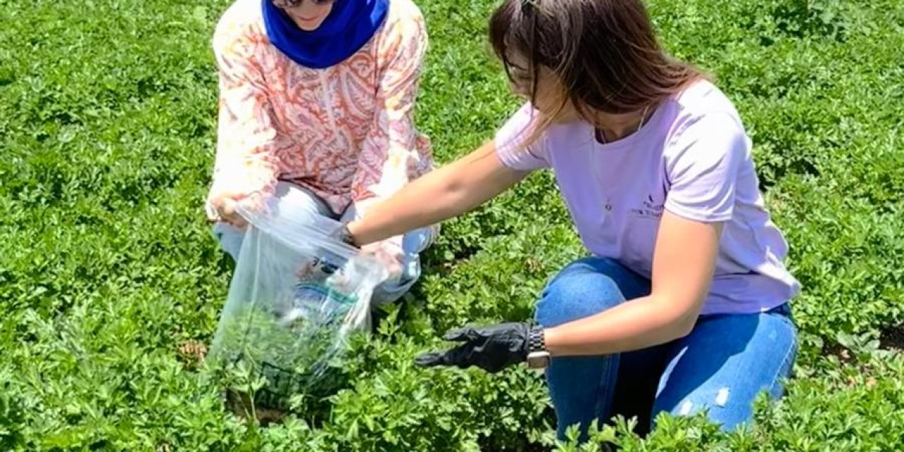 Konya’da Hasat Öncesi Büyük Tarım Taraması