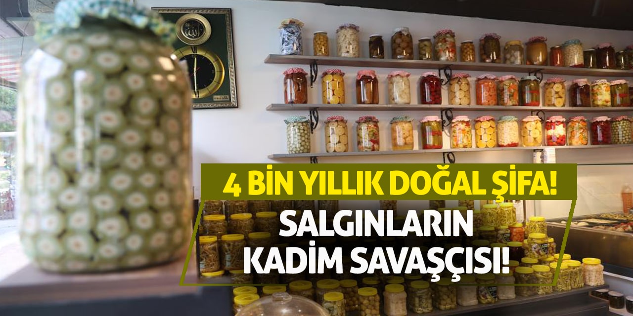 Salgınların Kadim Savaşçısı, 4 Bin Yıllık Doğal Şifa!
