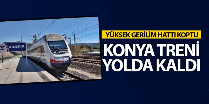 Yüksek gerilim hattı koptu, Konya treni yolda kaldı