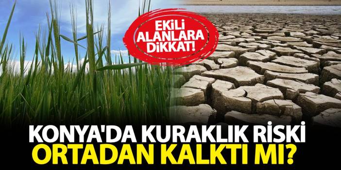 Konya'da kuraklık riski ortadan kalktı mı? Ekili alanlara dikkat!