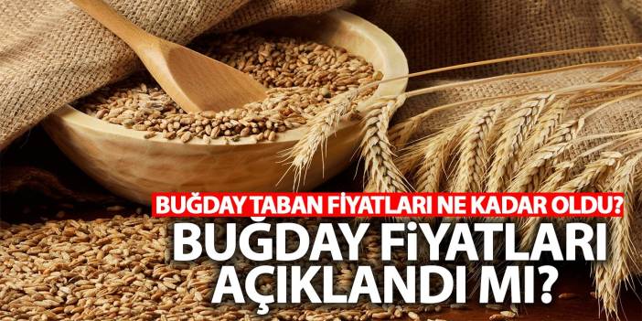 Buğday fiyatları açıklandı mı? Buğday taban fiyatları ne kadar oldu?