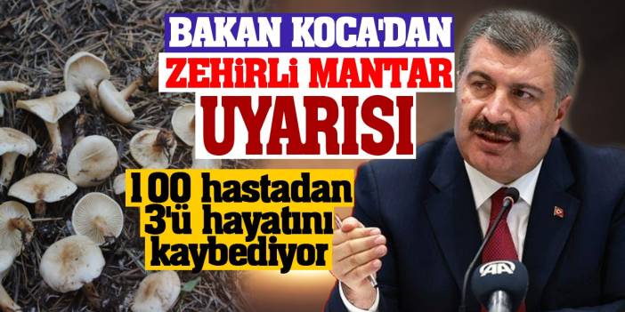 Bakan Koca'dan Mantar Zehirlenmelerine Karşı Uyarı