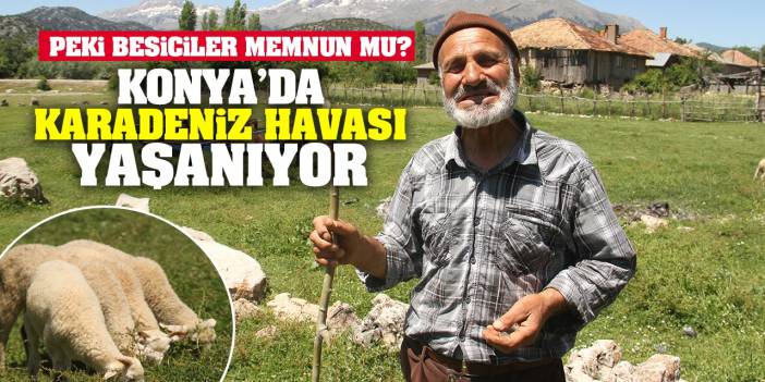 Konya'da Karadeniz Havası Yaşanıyor Peki Besiciler Memnun Mu?