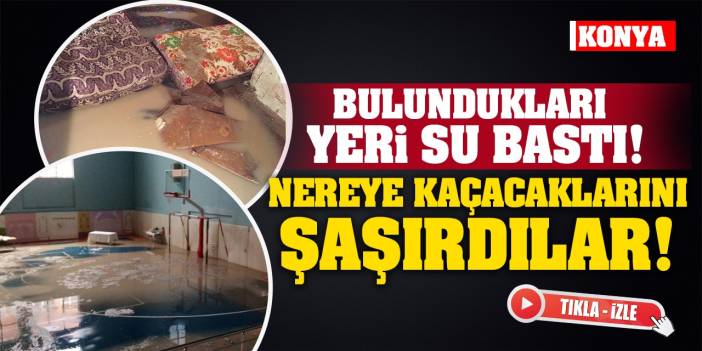 Bulundukları Yeri Su Bastı! Nereye Kaçacaklarını Şaşırdılar! (tıkla-izle)