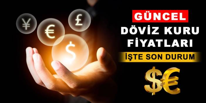 Dolar Ve Euro Bugün Ne Kadar? 1 Dolar-Euro Bugün Kaç TL