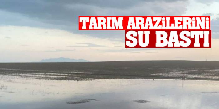 Konya'da sağanak nedeniyle tarım arazilerini su bastı