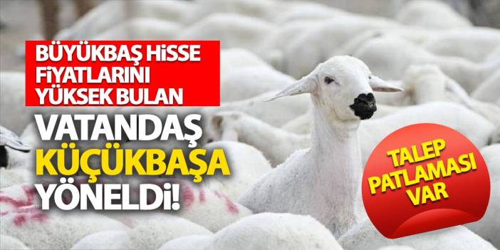 Vatandaş küçükbaş kurbanlıklara yöneldi! Talep patlaması var!