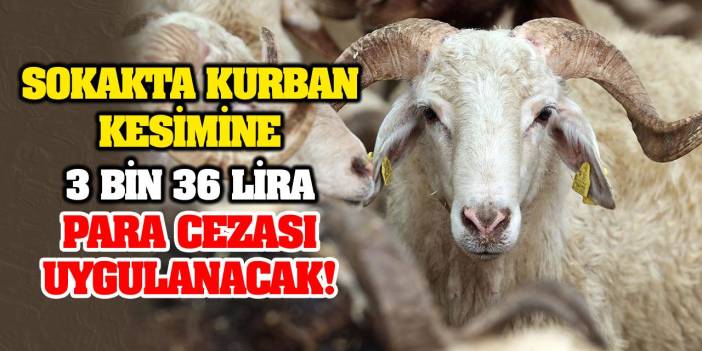 Sokakta Kurban Kesimine 3 Bin 36 Lira Para Cezası Uygulanacak!