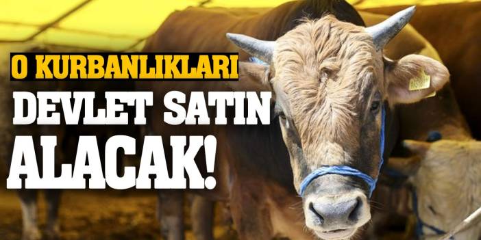 O Kurbanlıkları Devlet Satın Alacak!