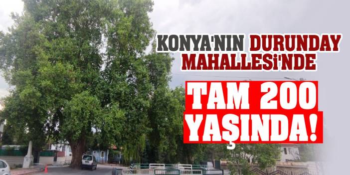 Konya'nın Durunday Mahallesi'nde... Tam 200 yaşında!