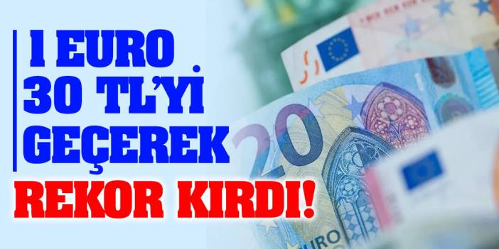 1 Euro kaç TL? Euro en yüksek kaçı gördü?