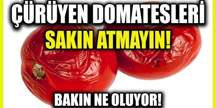 Çürük domatesleri böyle kullanın! Beyaz saçların siyahlaşmasını sağlayan tüyo