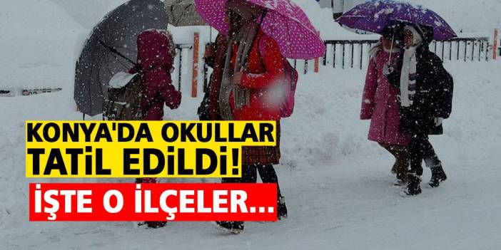 Konya'da okullar tatil edildi! İşte o ilçeler...