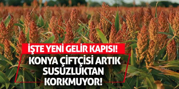 Konya Çiftçisi Artık Susuzluktan Korkmuyor! İşte Yeni Gelir Kapısı!
