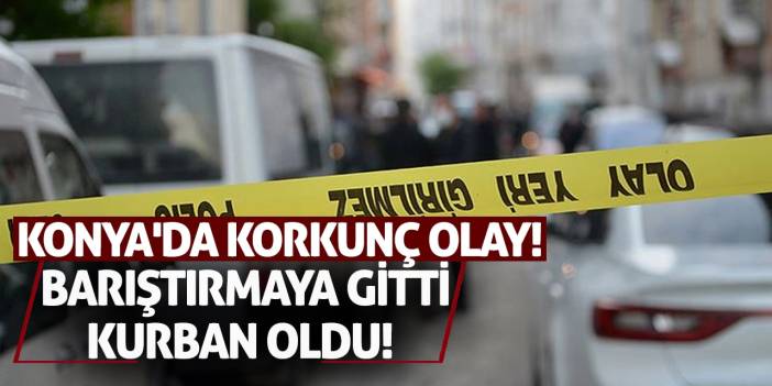 Konya'da Korkunç Olay! Barıştırmaya Gitti, Kurban Oldu!