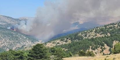 Bolu’daki orman yangını Eskişehir il sınırına yaklaştı