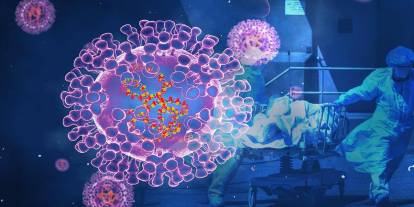 Chikungunya virüsü için açıklama geldi!