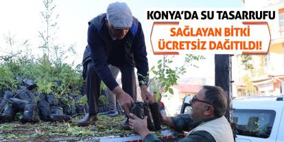 Konya’da Su Tasarrufu Sağlayan Bitki Ücretsiz Dağıtıldı!