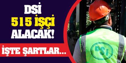 DSİ 515 İşçi Alacak! İşte Şartlar...