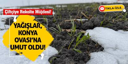 Çiftçiye Rekolte Müjdesi! Yağışlar, Konya Ovası’na Umut Oldu!