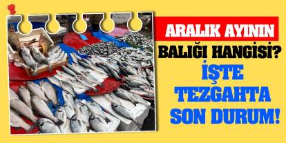 Aralık ayının balığı hangisi? İşte tezgahta son durum!