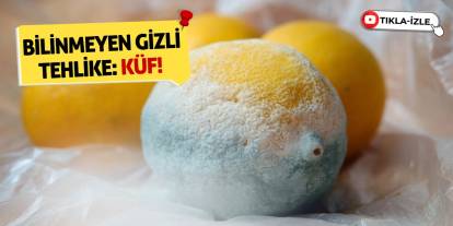 Bilinmeyen gizli tehlike: Küf!