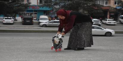 Evinde biberonla beslediği kuzuyla mahallede de geziyor