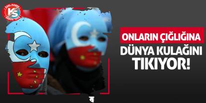 Onların çığlığına dünya kulağını tıkıyor!