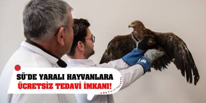 SÜ’de Yaralı Hayvanlara Ücretsiz Tedavi İmkanı!