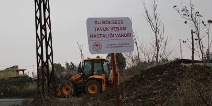 Hatay'da kuş gribi alarmı: Mahalle karantinaya alındı