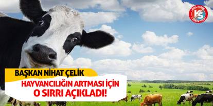 Başkan Çelik, hayvancılığın artması için sihirli çözümü açıkladı!