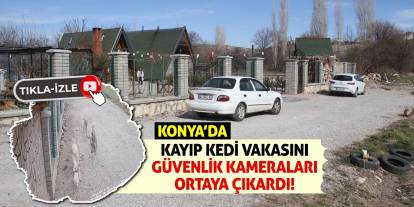 Konya'da Kayıp Kedi Vakasını Güvenlik Kameraları Ortaya Çıkardı!