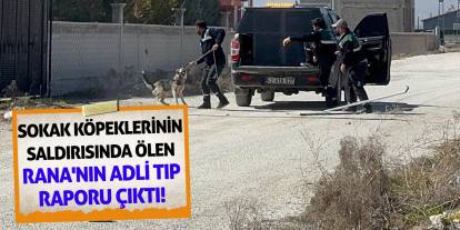 Sokak köpeklerinin saldırısında ölen Rana'nın Adli Tıp raporu çıktı