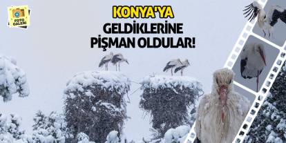 Konya'ya Geldiklerine Pişman Oldular!