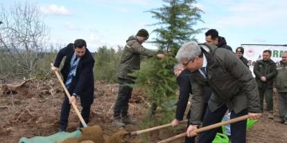 Denetimli serbestlik yükümlüleri fidan dikti