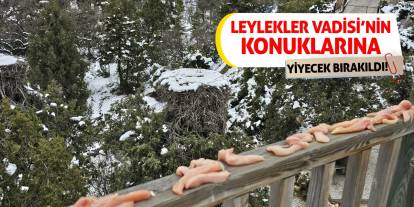 Leylekler Vadisi’nin konuklarına yiyecek bırakıldı!