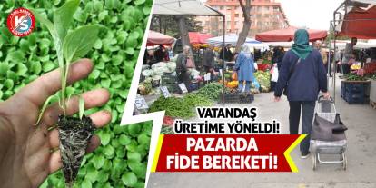Pazarda Fide Bereketi! Vatandaş Üretime Yöneldi!