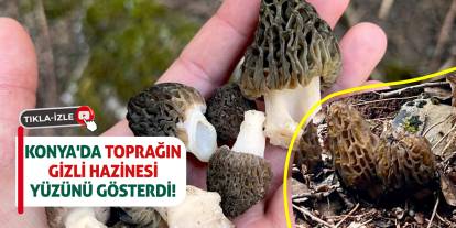 Konya'da Toprağın Gizli Hazinesi Yüzünü Gösterdi!