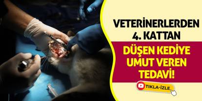 Veterinerlerden 4. Kattan Düşen Kediye Umut Veren Tedavi!