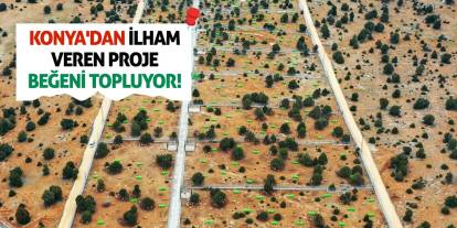 Konya'dan İlham Veren Proje: Sahipsiz Hayvan Doğal Yaşam Alanı Beğeni Topluyor!