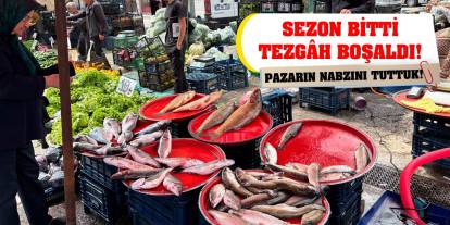 Pazarın Nabzını Tuttuk! Sezon Bitti Tezgâh Boşaldı!