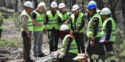 Konya'da ormancılar ağaç kesim tekniklerini öğrendi