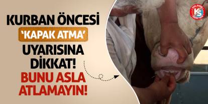 Kurban Öncesi ‘Kapak Atma’ Uyarısına Dikkat! Bunu Asla Atlamayın!