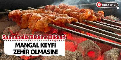 Salmonella Riskine Dikkat! Mangal Keyfi Zehir Olmasın!