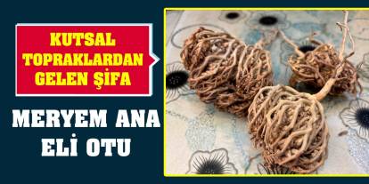 Kutsal Topraklardan Gelen Şifa: Meryem Ana Eli Otu