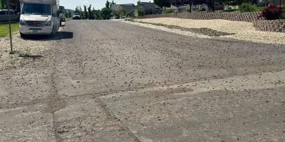 Böcekler kenti istila etti: Kar küreme araçları devrede