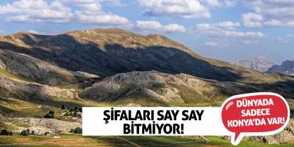 Dünyada Sadece Konya’da Var! Şifaları Say Say Bitmiyor!