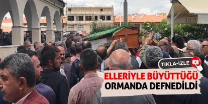 Elleriyle Büyüttüğü Ormanda Defnedildi
