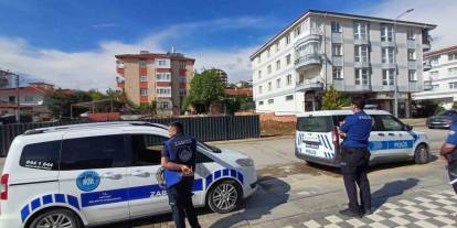 Ankara’da kaçan dana yaşlı kadını yaraladı